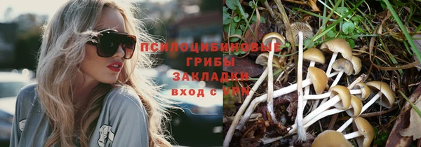 марки nbome Алзамай