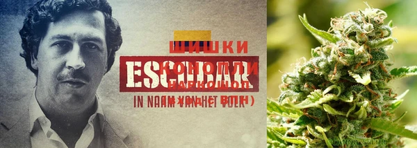 марки nbome Алзамай