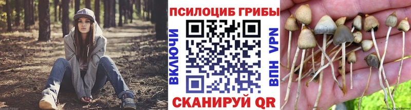 Псилоцибиновые грибы Cubensis  Отрадная 